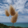מירי's photo