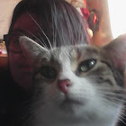 Usuario: Mathilde Pernel