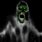 Kullanıcı: long lan