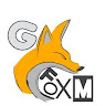 the GFoxM