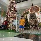 ユーザー: Edwin corpin