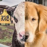Go Vegan