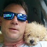 Gili Levin's photo