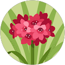 Clara Soto comment image