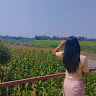 မခင်မျိုးသက်