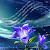 author-avatar