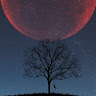Created by
