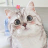 Anna_1321