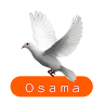 Osama Aisr Elgendi