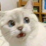 userThumbnail