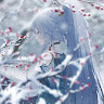 author-avatar