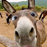 @drsmartitclub author photo 