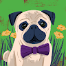 Reviewer avatar