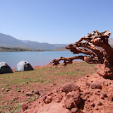 martinimarkus@libero.it