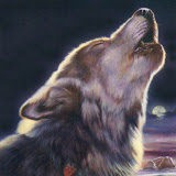 Használó: dudu karp