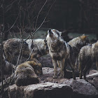 Uživatel: Dakota Morinelli