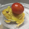 寶貝
