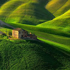 Người dùng: firas firas