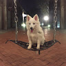 Jackals Wu