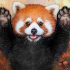 Gebruiker: Krzysztof Debski