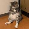 張庭瑋 3