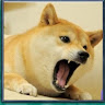 張耿勗