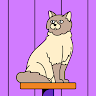 user icon