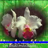 Created by