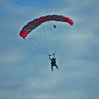 Kullanıcı: Frank R.