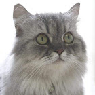 Utilizador: AnhTuấn