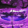 Created by