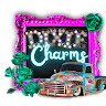 dixiecharmsdesigns's profile picture