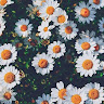 atubi's photo