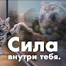 Форум