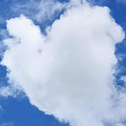 사용자를: Klifan