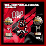 用户: Richard Eduardo L.