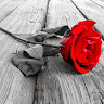 Created by