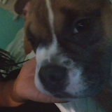 Kullanıcı: Jeon Y/N