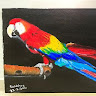 EdrawMax user profile image
