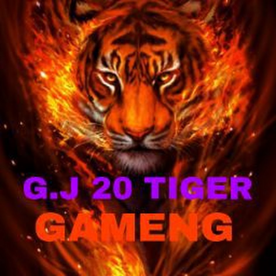 GJ20ツ TIGER࿐