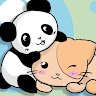 pandakitty
