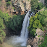 סילבי כהן's photo