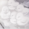 Nhỏ FA