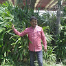 user-avatar