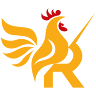 Ảnh của tác giả: Shirt Rooster