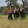 Muhamad Alwan