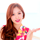 Nutzer: Hongtaegift x