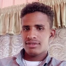 Musa Elhadi