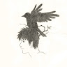 Civitai profile picture for @Toshiro