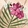 סבטה קוגן's photo